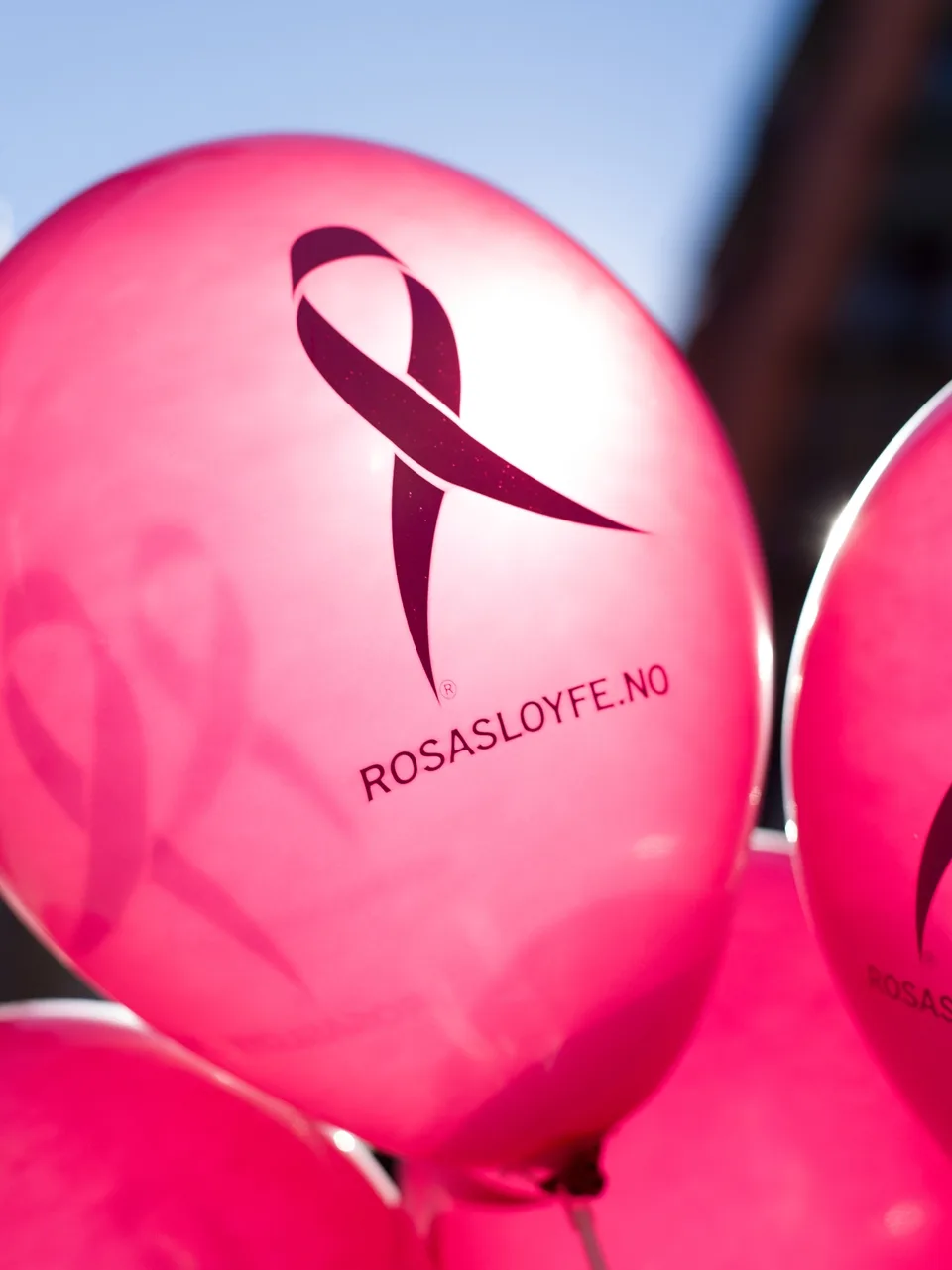 Rosa sløyfe 2013 bruksrettighet fotograf steffen aaland copyright .jpg (1)