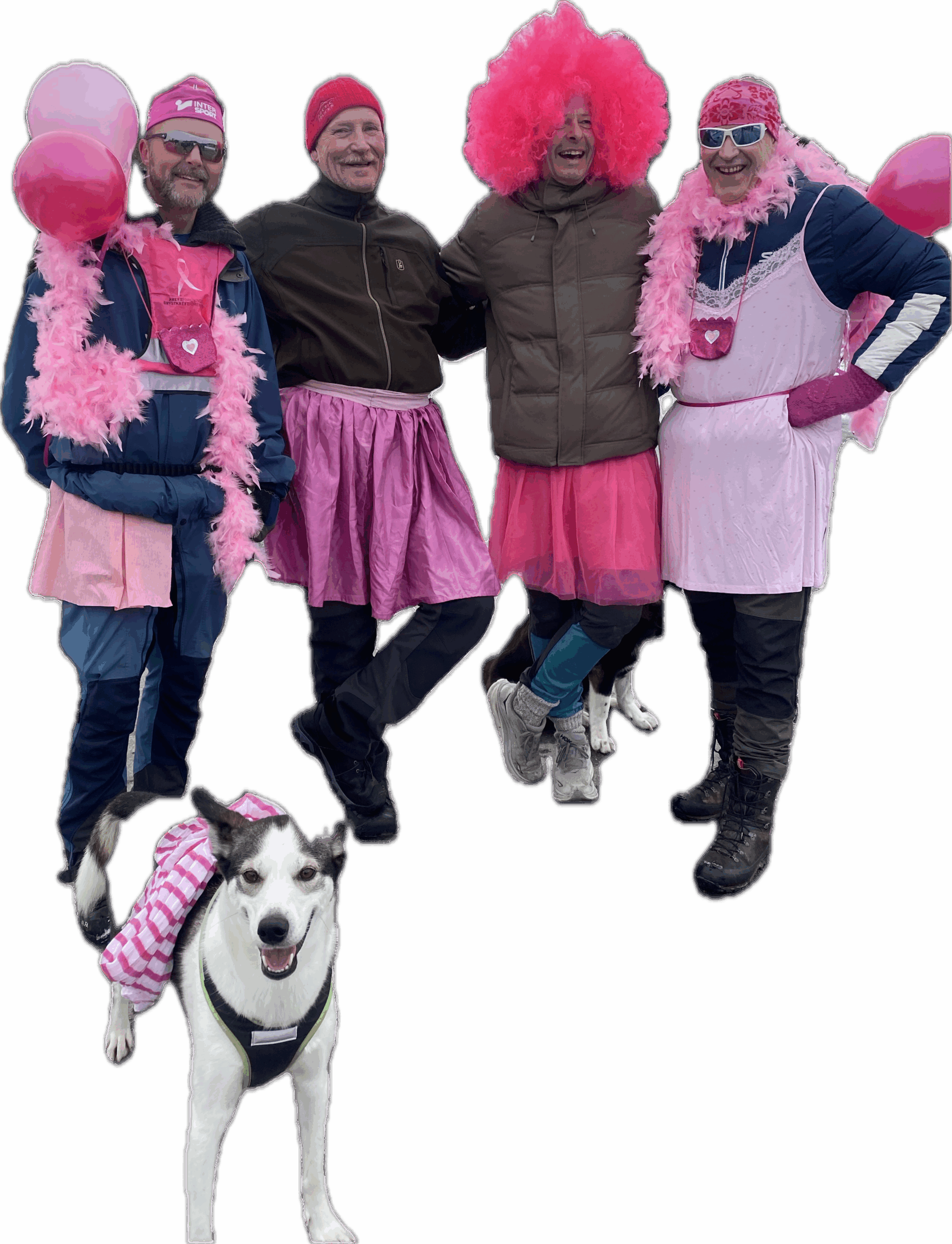 Rosa sloyfe .png