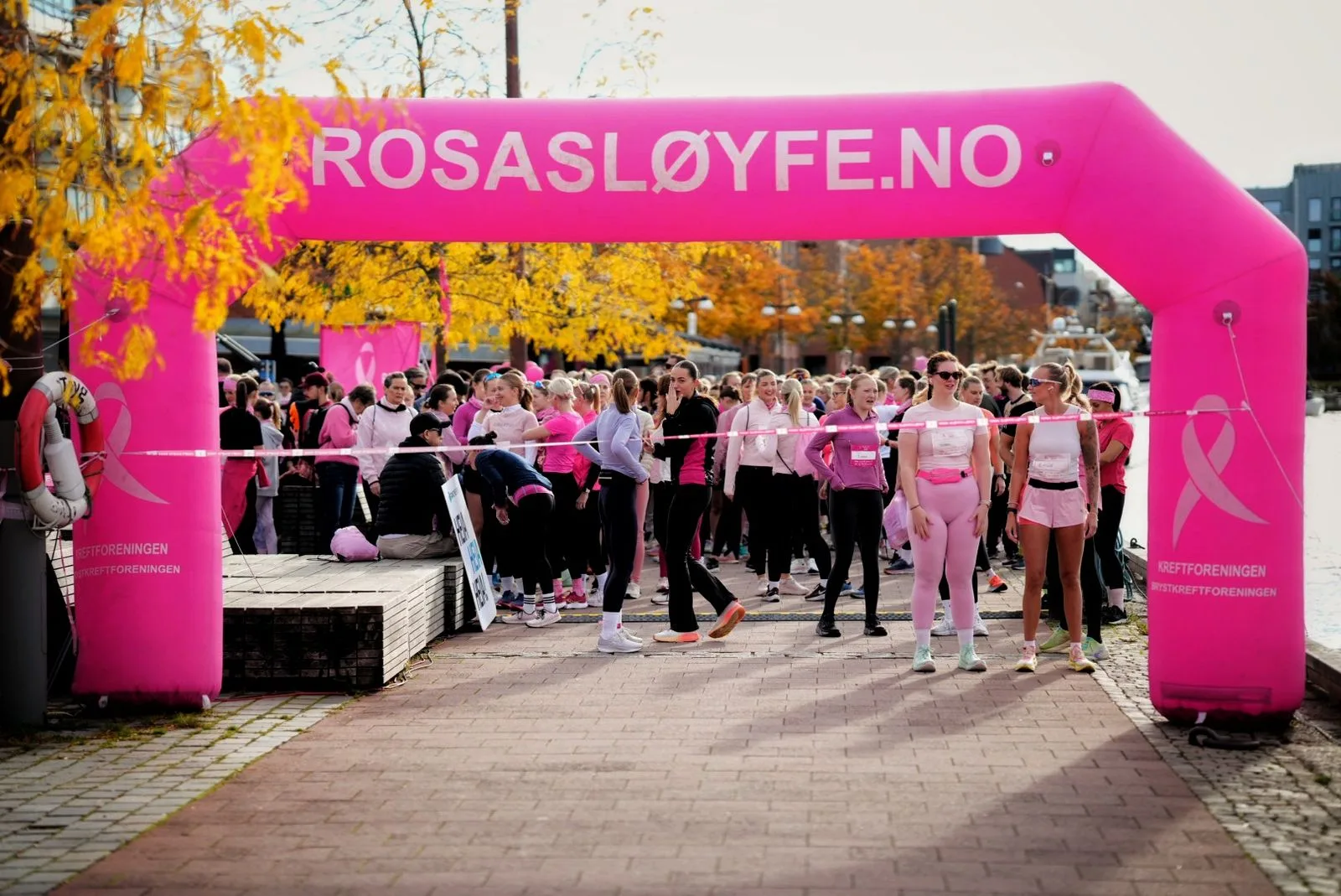 Rosa Sl yfe l pet Fredrikstad 2026 Rosa Sl yfe l pet